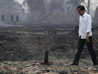 Walhi Sindir Jokowi yang Tak Pakai Masker Pantau Karhutla Riau
