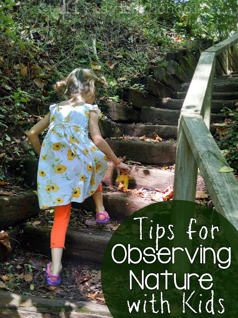 Tips to help the whole family enjoy being outside to observe nature from Still Playing School
