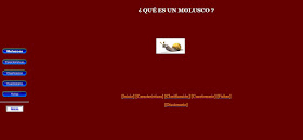 http://encina.pntic.mec.es/~nmeb0000/invertebrados/moluscos/moluscos0.html