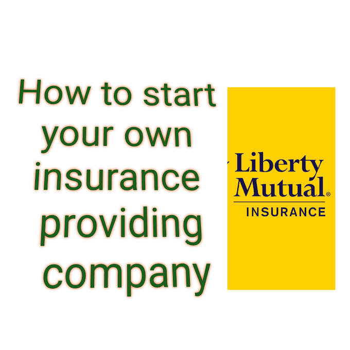  HOW TO START YOUR OWN INSURANCE PROVIDING COMPANY