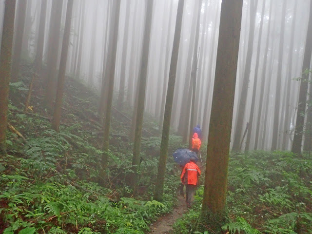 往大窩山登山口