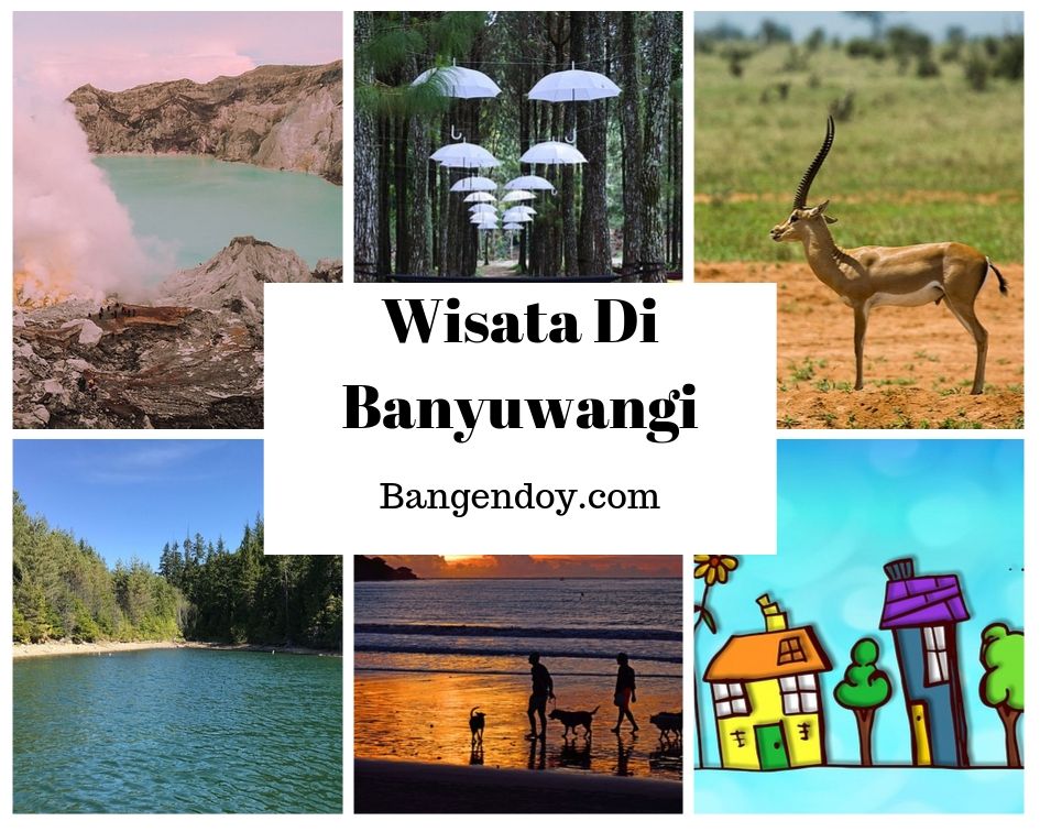 7 Tempat Wisata Di Banyuwangi Yang Lagi Hits Bangendoy