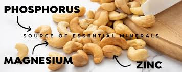Unlock the Power of Cashews: 7 Surprising Benefits of Eating Them Every Day Unlock the Power of Cashews: 7 Surprising Benefits of Eating Them Every Day