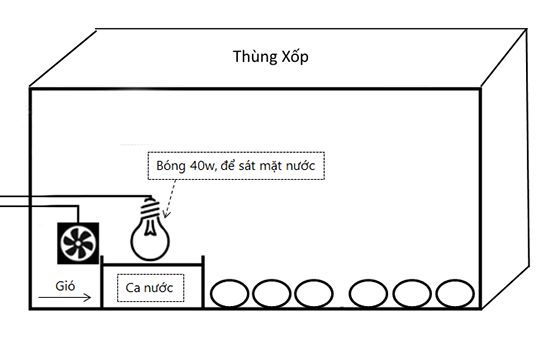 Cách ấp trứng gà bằng bóng đèn điện