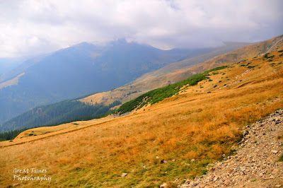 Transalpina, Sibiu, Alba, Alba Iulia, Citadel Alba Carolina, Translivania, Transylvania, Cheile Rametului,  Sarmizegetusa