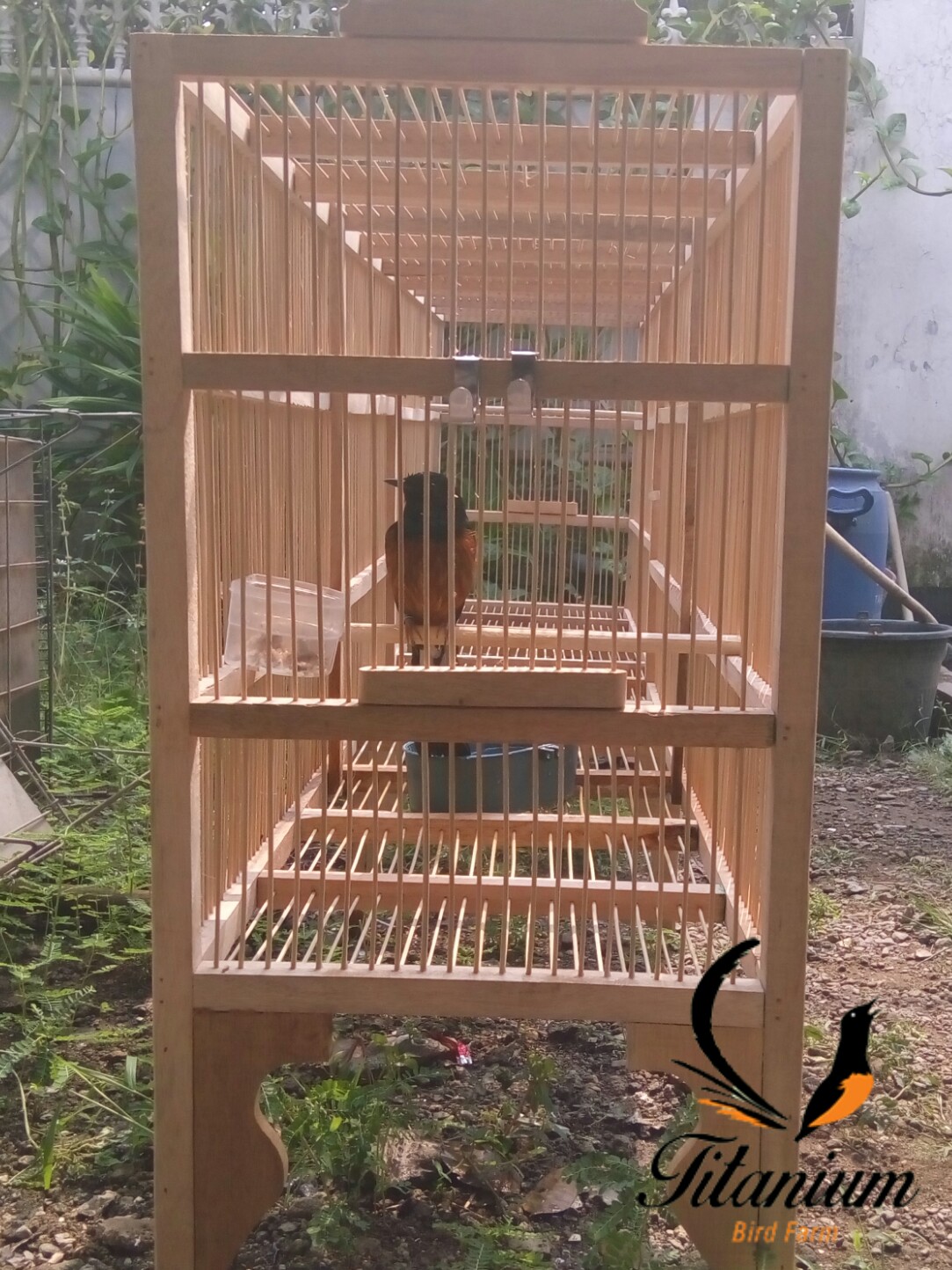 Kandang Umbaran Murai Batu Murah Meriah Titanium Bird Farm