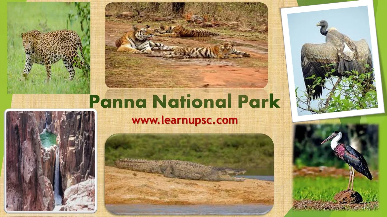 Panna National Park