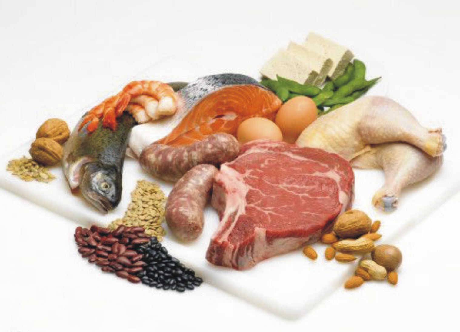 Tinta Kehidupan 10 Makanan Sumber Protein Tinggi