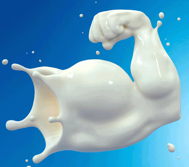 Healthy diet | Healthy foods | Bone health | The Best Sorts Of Milk To Drink For Bone Wellbeing, Including Non-Dairy Choices