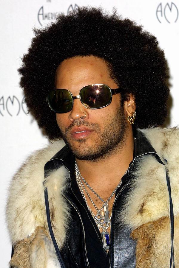 Natural Hair and Hairstyles for Men: Lenny Kravitz Natural 