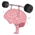 Best Physical Exercise For Brain