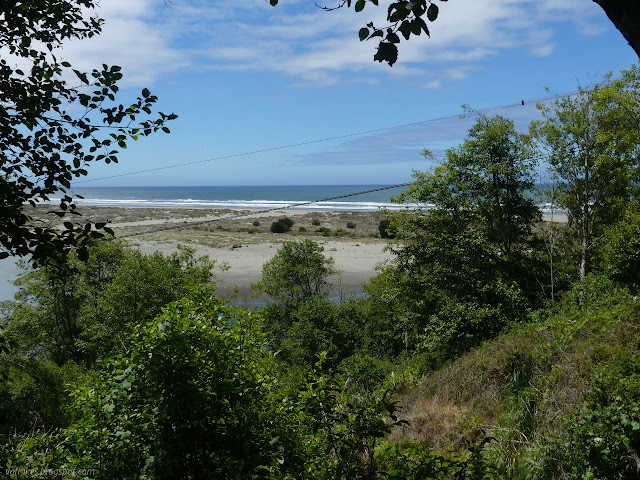 sand over the tops of trees