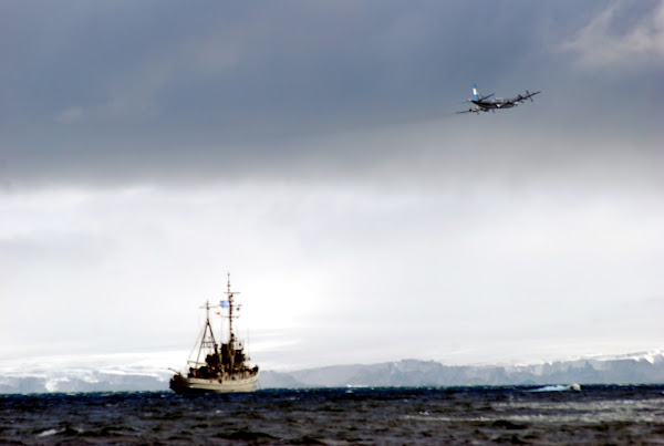 Finalizó despliegue de la Aviación Naval