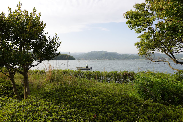 鳥取県東伯郡湯梨浜町藤津 東郷湖羽合臨海公園 シジミ採り