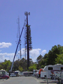 Making a tree out of a cell tower at RV Storage Lot