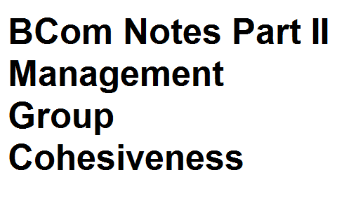 BCom Notes Part II Management Group Cohesiveness
