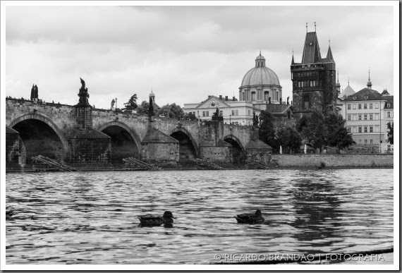 prague B-W29