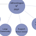 Five Advantages of PHP Web Development Languages