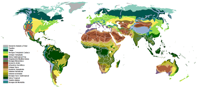 Biomas Mundiales