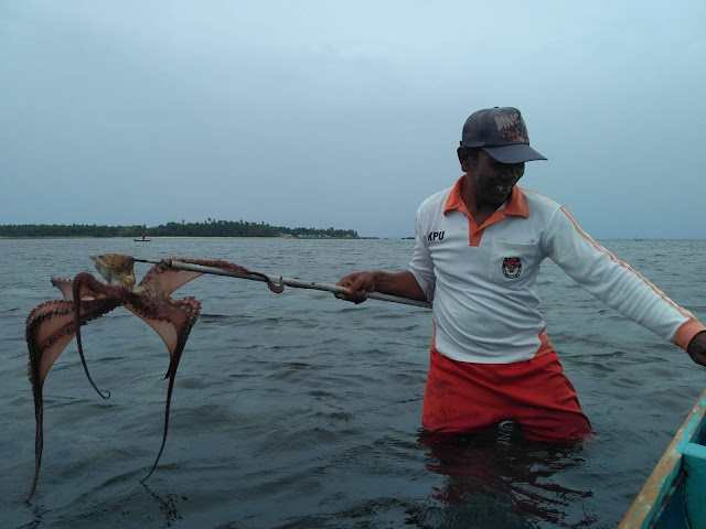 Mengenal Kecerdasan Naturalis