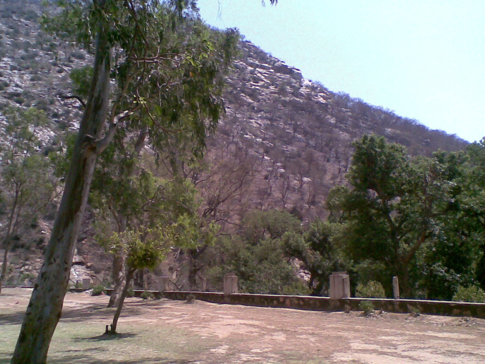 aravali hills in rajasthan Nice aravali hills at siliser,