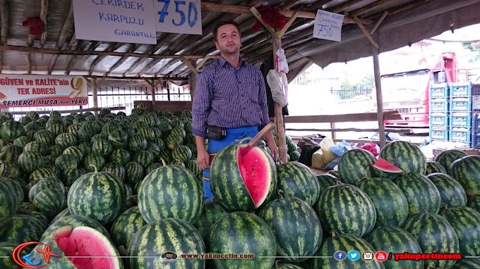 Bozkır Pazarının İlk Karpuz Sergisi Kuruldu