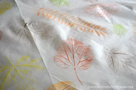 leaf rubbings