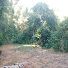 LSMS KPK-Nusantara Soroti Anggaran Pembukaan Badan Jalan Desa Muara Bio Menuju Desa Tanjung Belit Selatan Kampar Kiri Hulu, Desak Inspektorat Periksa Kades
