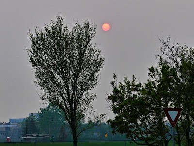 Rote Sonne in Calgary