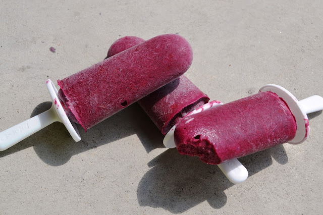 Blackberry Protein Popsicles