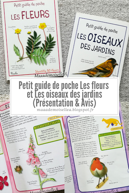 || Petit guide de poche Les fleurs et Les oiseaux des jardins (Présentation & Avis)(Chut, les enfants lisent # 109)