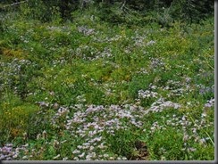 DSCF0059