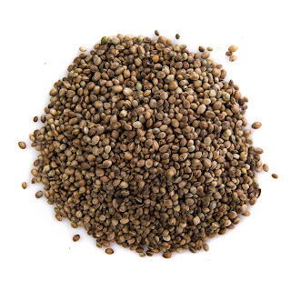 hemp seed | hemp oil | cbd oil | pile of hemp seed | natural organic pure clean cb oils