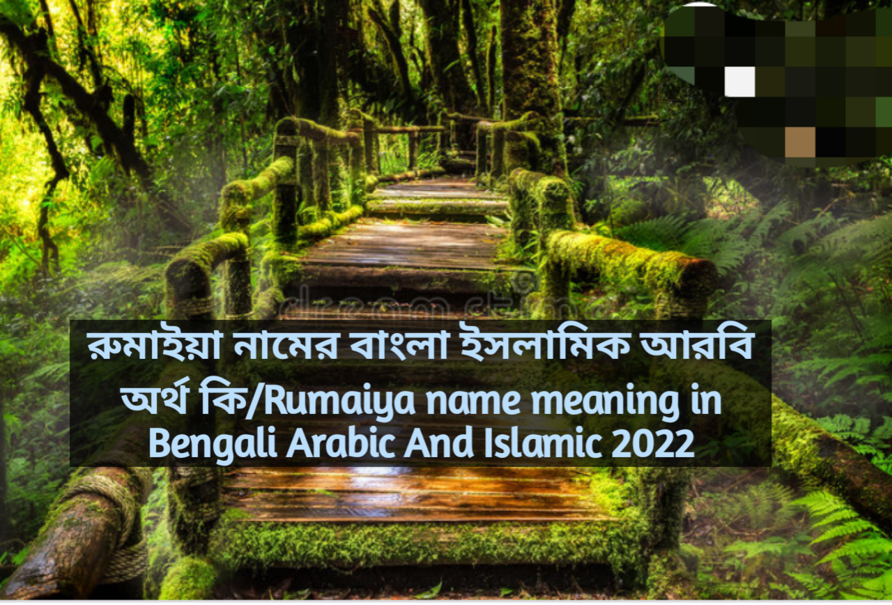 Rumaiya name meaning in Bengali, Rumaiya name meaning,রুমাইয়া নামের অর্থ কি,Rumaiya namer ortho ki,রুমাইয়া নামের বাংলা অর্থ কি,রুমাইয়া নামের ইসলামিক অর্থ কি, রুমাইয়া নামের আরবি অর্থ কি,রুমাইয়া নামটি কি আরবী নাম,রুমাইয়া নামটি কি ইসলামিক নাম