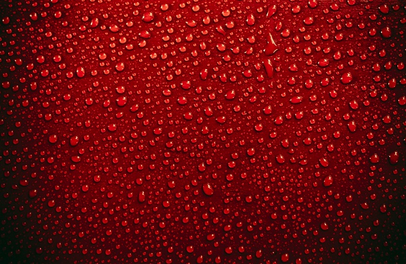 Red Rain In Kerala A Mysterious Rain Amazing World Reality