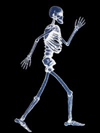 Image result for full body xray
