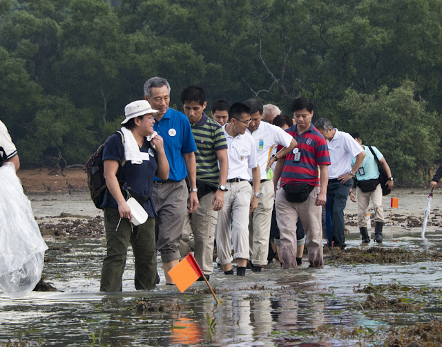 Prime Minister crossing seagrass meadows