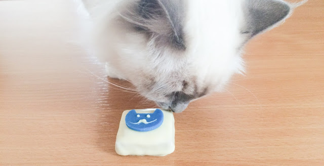 Leeloo mangeant un chocolat Au chat bleu