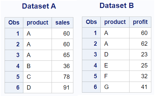 Dummy SAS Datasets