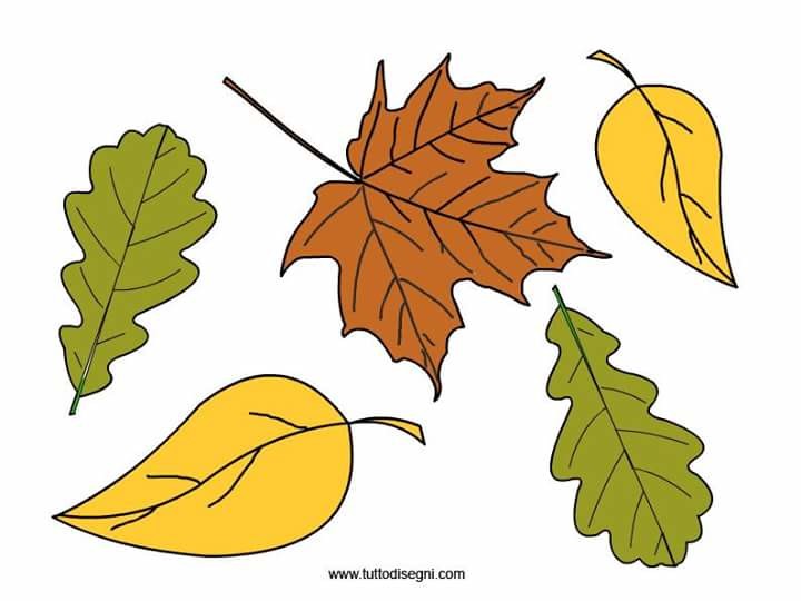 autumn - autumn for kids autumn for preschoolers autumn crafts autumn worksheets autumn kindergarten