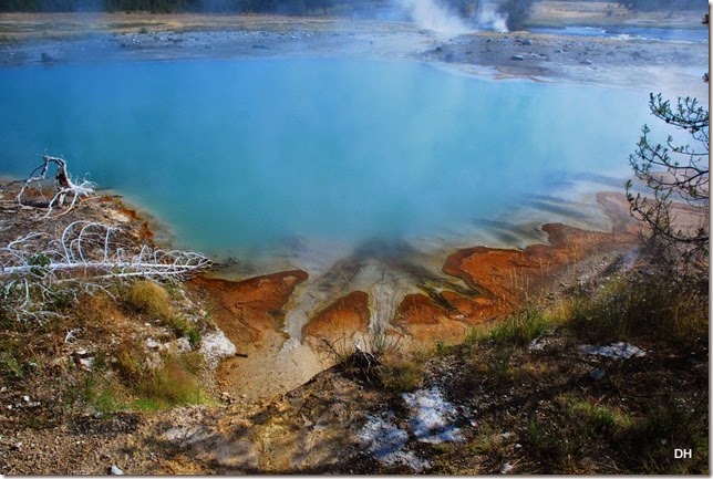 08-11-14 A Yellowstone National Park (158)
