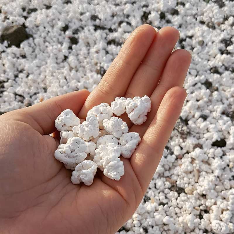 popcorn sand island, sand island popcorn, fuerteventura beach, popcorn beach, beach popcorn, popcorn sand,