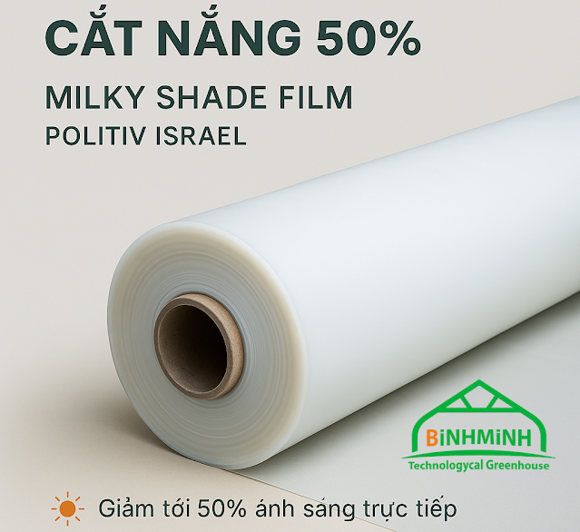 Màng trắng sữa cắt nắng 50% Màng trắng sữa cắt nắng 50%