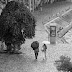 la Seine et des parapluies