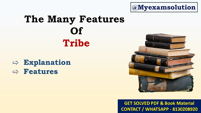 Describe some features of Tribal World views:-
