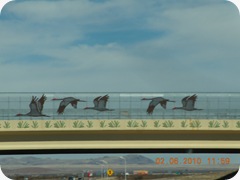DSCN2666