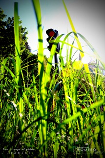 ChElysees_HDR4