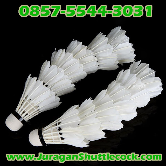 jual shuttlecock, jual shuttlecock malang, jual shuttlecock surabaya, jual shuttlecock online