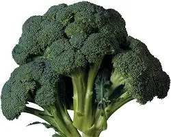 Broccoli-immune-system