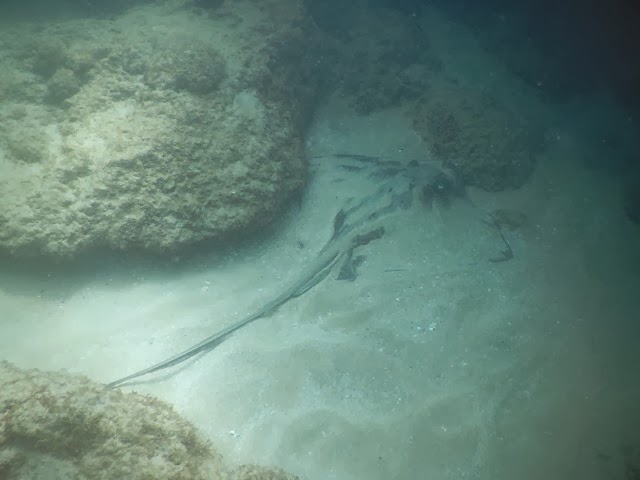 DSCN0872